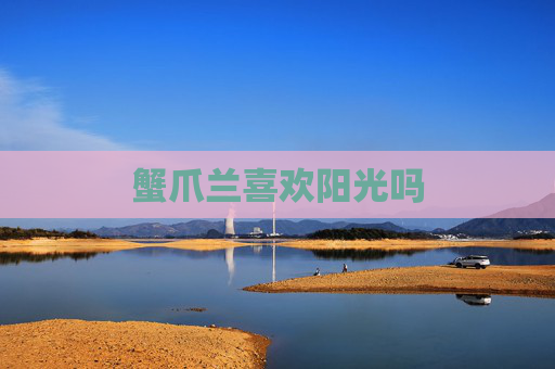 蟹爪兰喜欢阳光吗