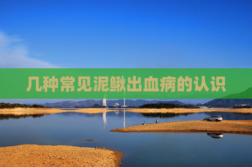 几种常见泥鳅出血病的认识