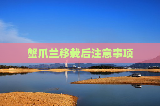蟹爪兰移栽后注意事项