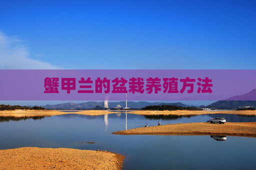蟹甲兰的盆栽养殖方法