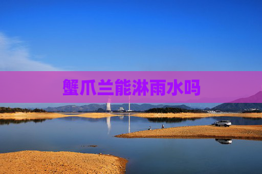 蟹爪兰能淋雨水吗