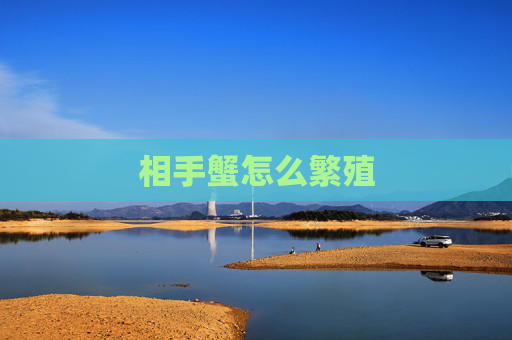 相手蟹怎么繁殖