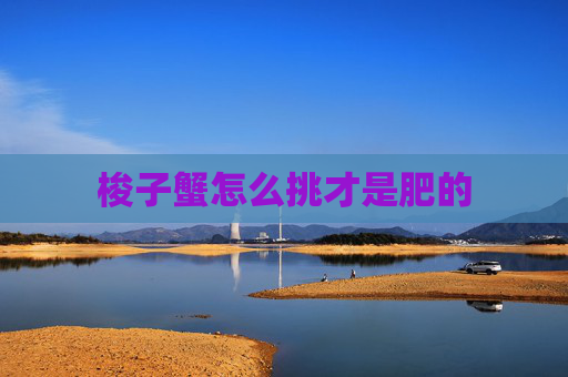 梭子蟹怎么挑才是肥的