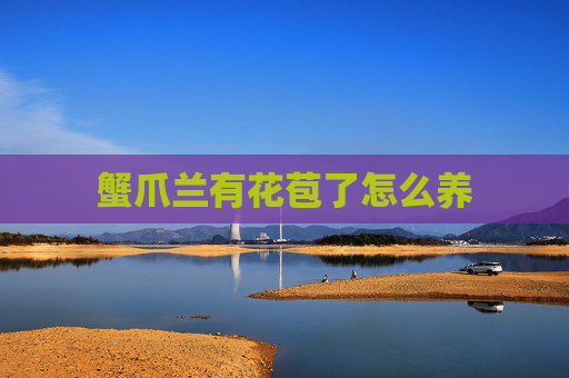 蟹爪兰有花苞了怎么养
