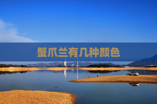 蟹爪兰有几种颜色