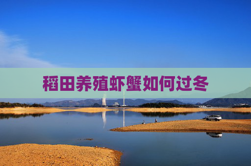 稻田养殖虾蟹如何过冬