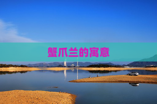 蟹爪兰的寓意