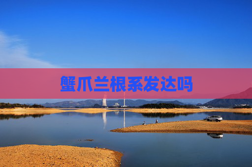 蟹爪兰根系发达吗