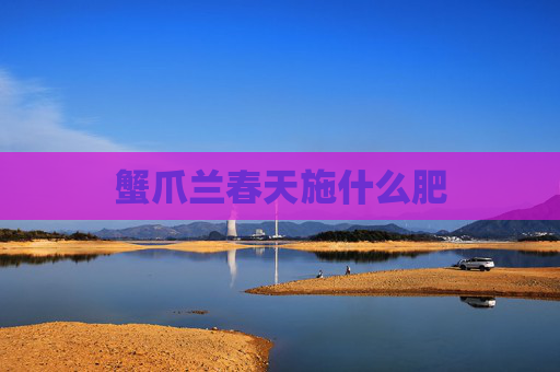 蟹爪兰春天施什么肥