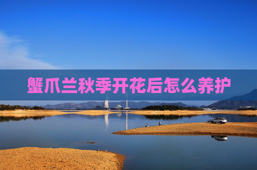 蟹爪兰秋季开花后怎么养护