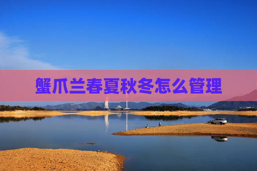 蟹爪兰春夏秋冬怎么管理