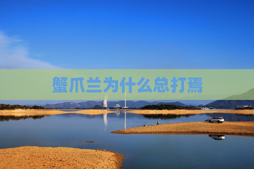 蟹爪兰为什么总打焉
