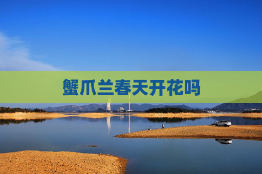 蟹爪兰春天开花吗