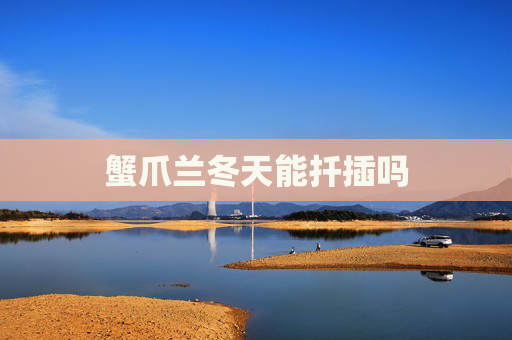 蟹爪兰冬天能扦插吗