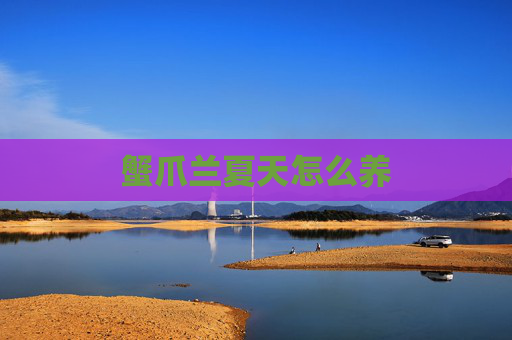 蟹爪兰夏天怎么养