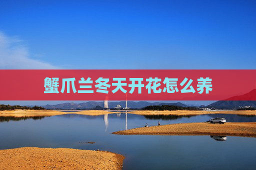 蟹爪兰冬天开花怎么养
