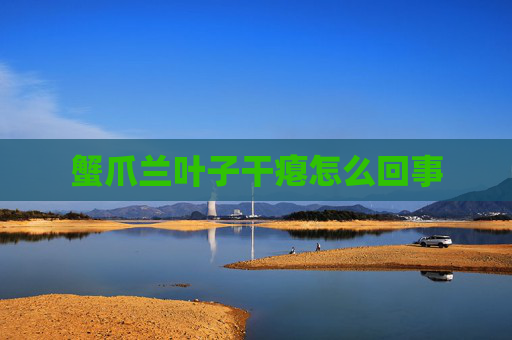 蟹爪兰叶子干瘪怎么回事