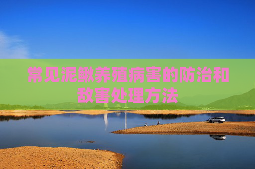 常见泥鳅养殖病害的防治和敌害处理方法