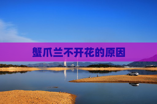 蟹爪兰不开花的原因