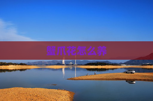 蟹爪花怎么养