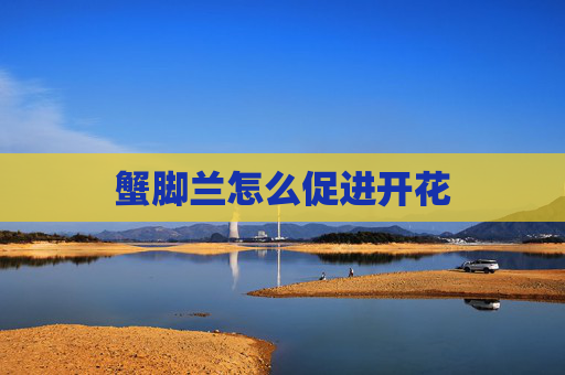 蟹脚兰怎么促进开花