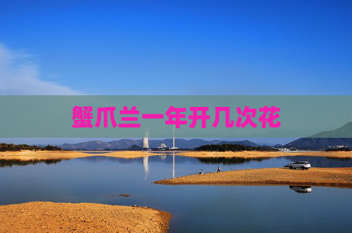 蟹爪兰一年开几次花
