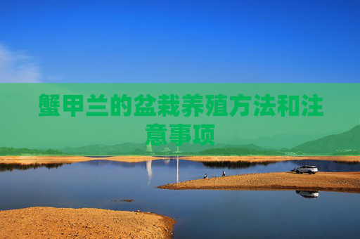 蟹甲兰的盆栽养殖方法和注意事项