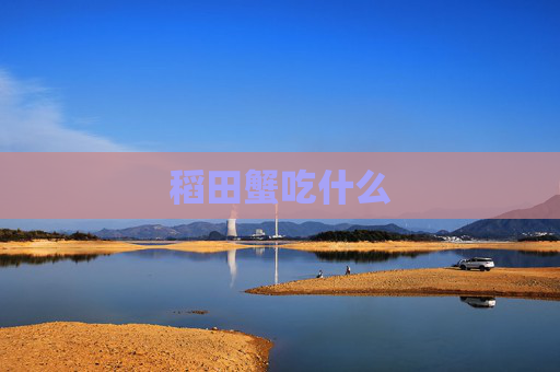 稻田蟹吃什么