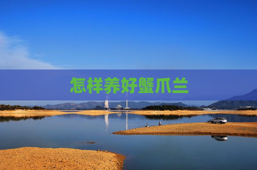 怎样养好蟹爪兰
