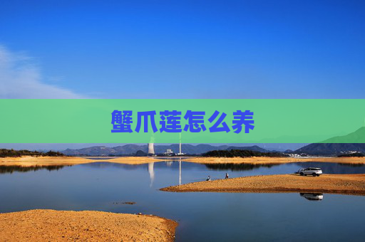 蟹爪莲怎么养