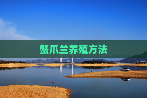 蟹爪兰养殖方法