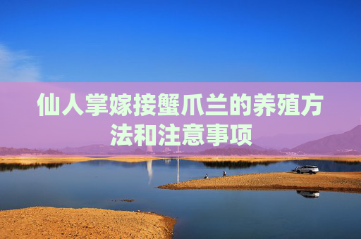 仙人掌嫁接蟹爪兰的养殖方法和注意事项