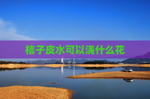 桔子皮水可以浇什么花