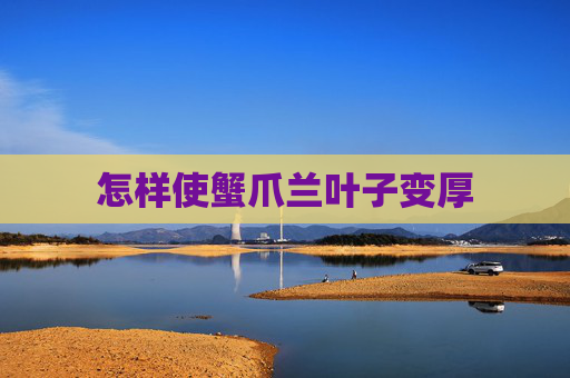 怎样使蟹爪兰叶子变厚
