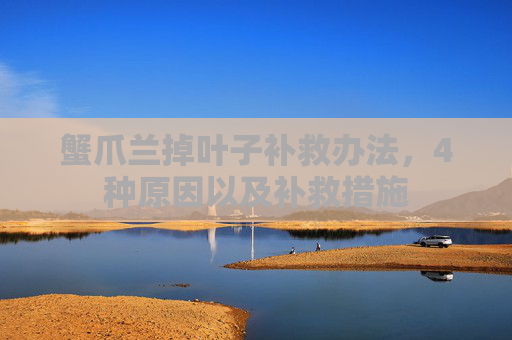 蟹爪兰掉叶子补救办法,4种原因以及补救措施