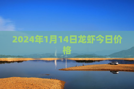 2024年1月14日龙虾今日价格