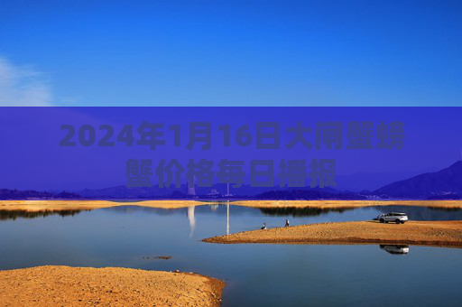 2024年1月16日大闸蟹螃蟹价格每日播报