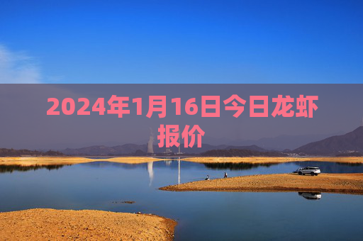 2024年1月16日今日龙虾报价