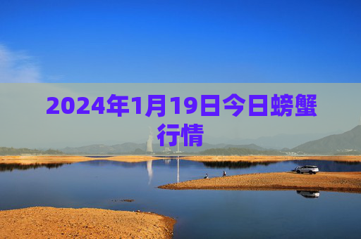 2024年1月19日今日螃蟹行情