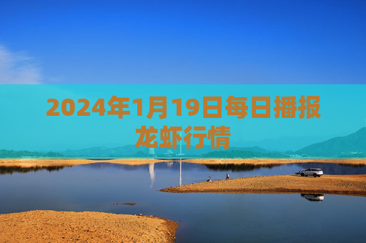 2024年1月19日每日播报龙虾行情