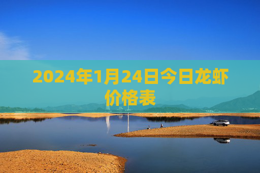 2024年1月24日今日龙虾价格表