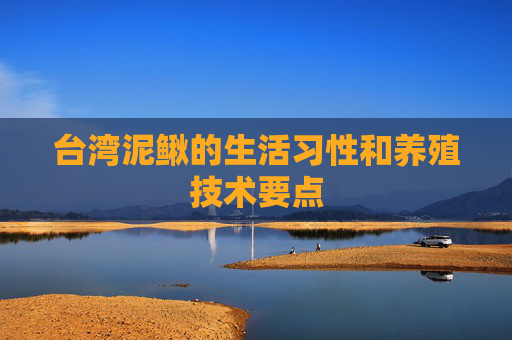 台湾泥鳅的生活习性和养殖技术要点