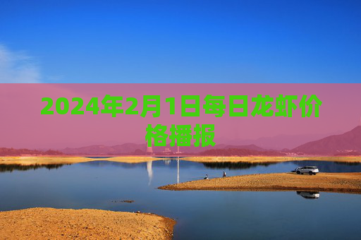 2024年2月1日每日龙虾价格播报