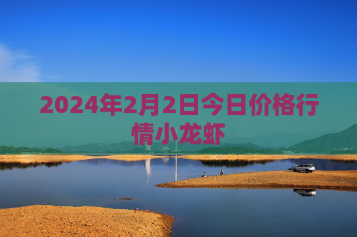 2024年2月2日今日价格行情小龙虾