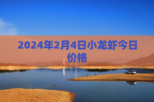 2024年2月4日小龙虾今日价格
