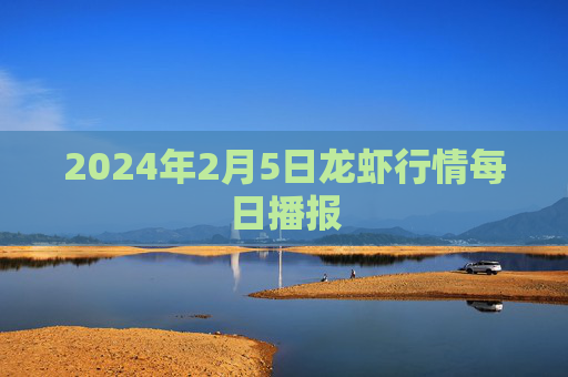 2024年2月5日龙虾行情每日播报