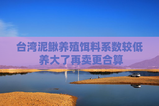 台湾泥鳅养殖饵料系数较低 养大了再卖更合算