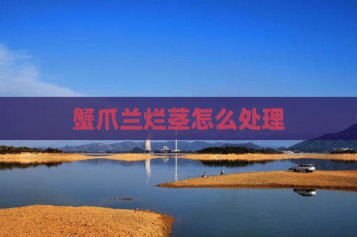 蟹爪兰烂茎怎么处理