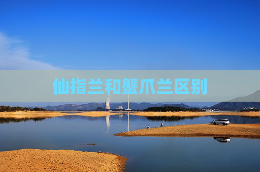 仙指兰和蟹爪兰区别