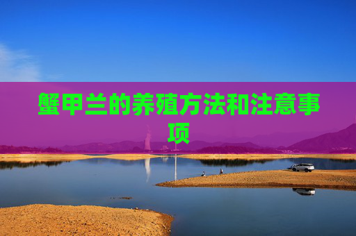 蟹甲兰的养殖方法和注意事项